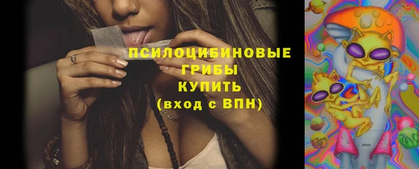 круглые Арсеньев