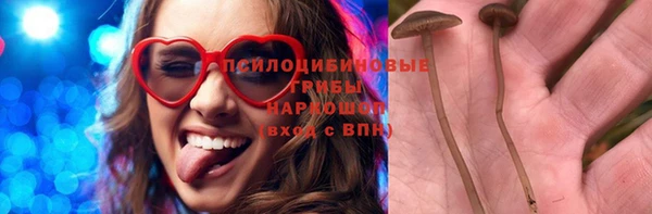 не бодяженный Аркадак