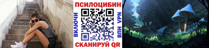 Купить где  Богданович  Галлюциногенные грибы Magic Shrooms 