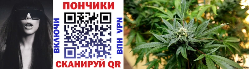 Шишки марихуана MAZAR  Купить  Богданович 